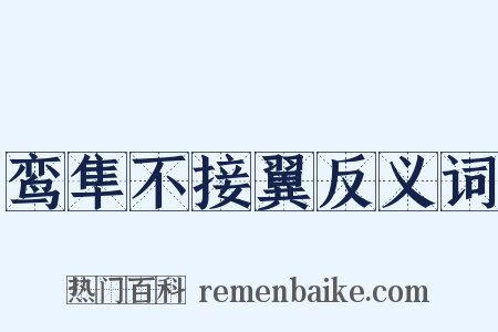 鸾隼不接翼反义词是什么意思的图片